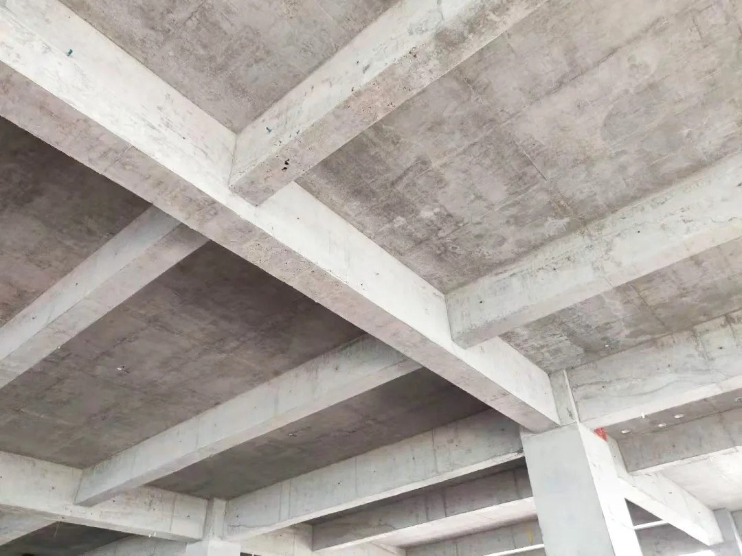 202111161448310379.jpg 202111161448310379.jpg